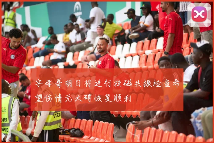 字母哥明日将进行核磁共振检查希望伤情无大碍恢复顺利