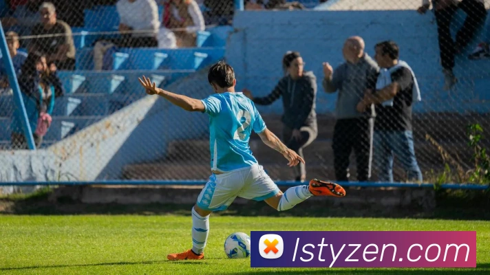 雷速体育平台生态图